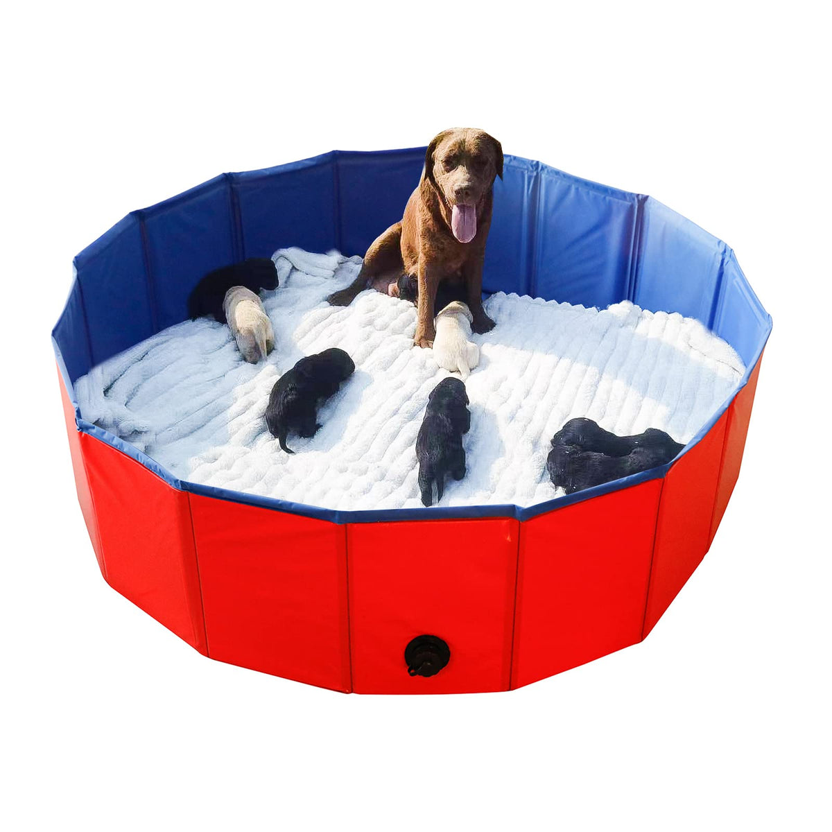 Piscina para perros Artilife duradera y resistente para uso diario