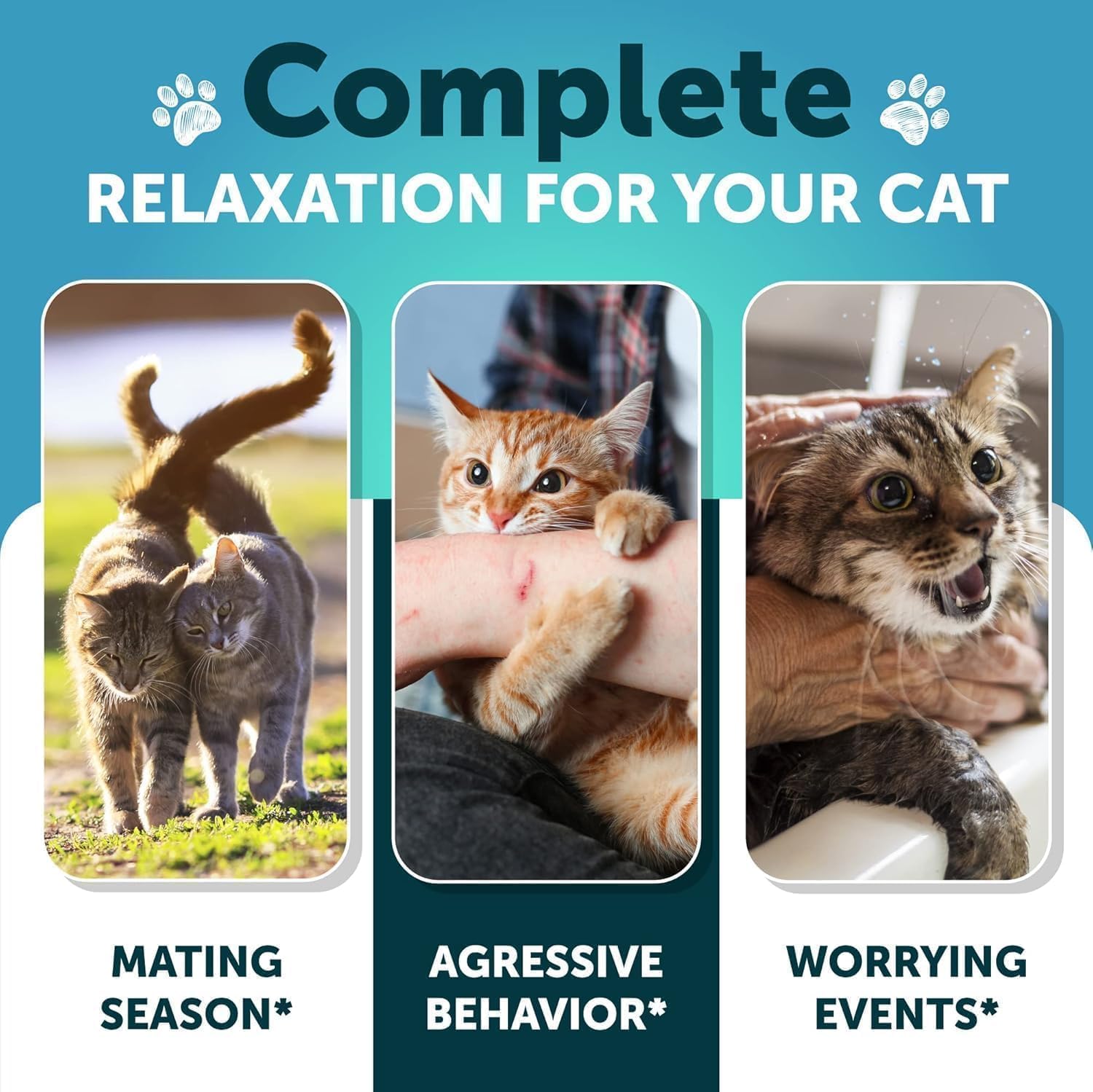 Artullano para gatos ante ansiedad por tormentas, promueve tranquilidad durante ruidos fuertes.