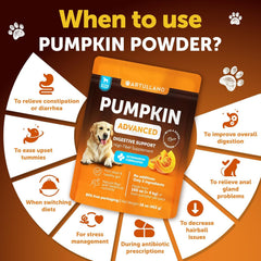 Artullano ingredientes naturales de calabaza para perro, base nutritiva segura.