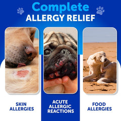 Artullano omega-3 aceite de pescado para perros, soporte para pelaje.