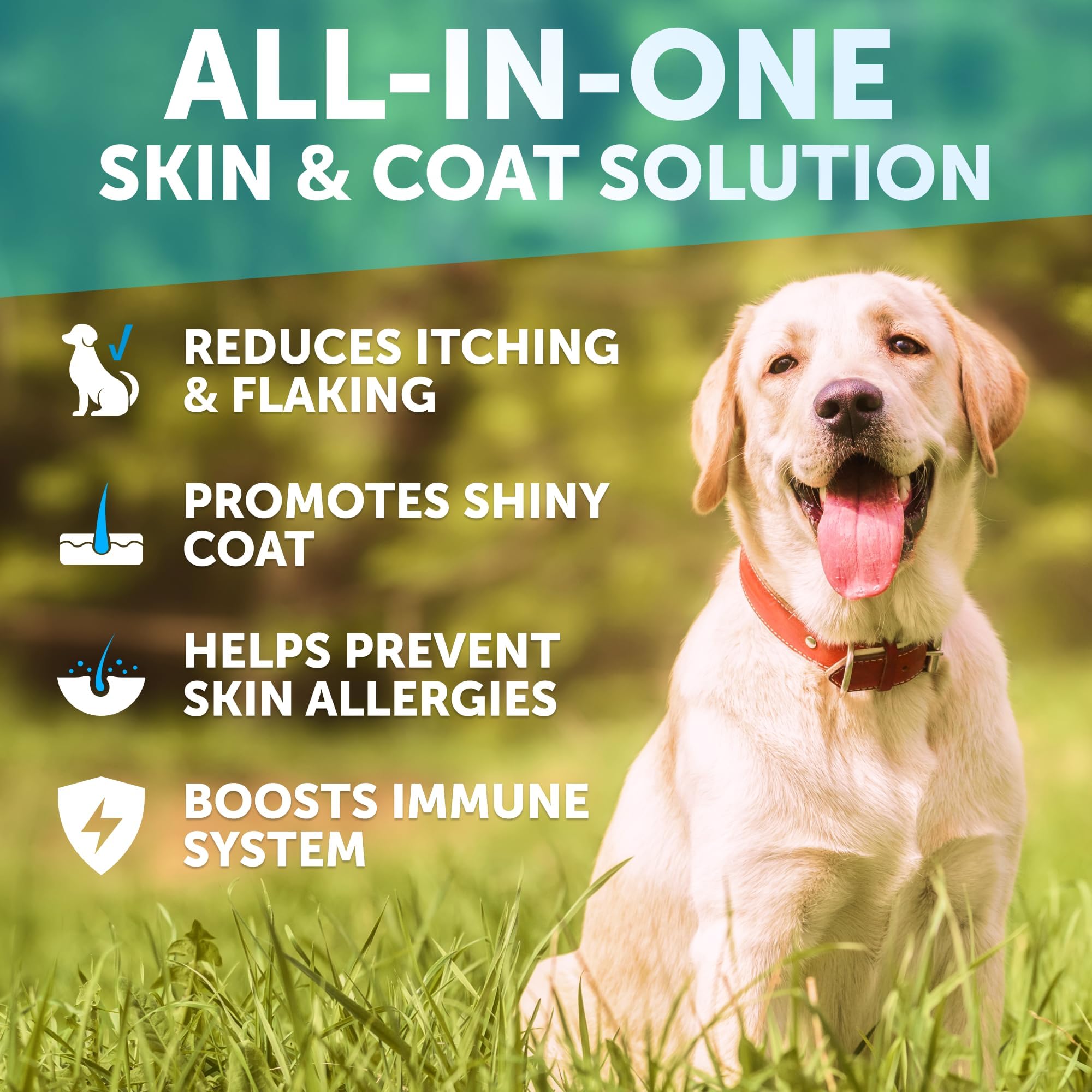 Artullano Omega 3 para perros, pelaje brillante y piel sana.