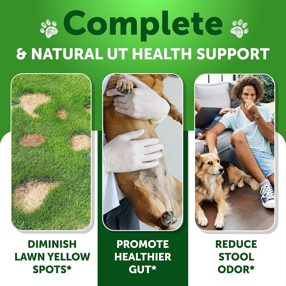 Artullano probióticos masticables para perros favorecen una digestión equilibrada.