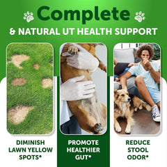 Artullano probióticos masticables para perros favorecen una digestión equilibrada.