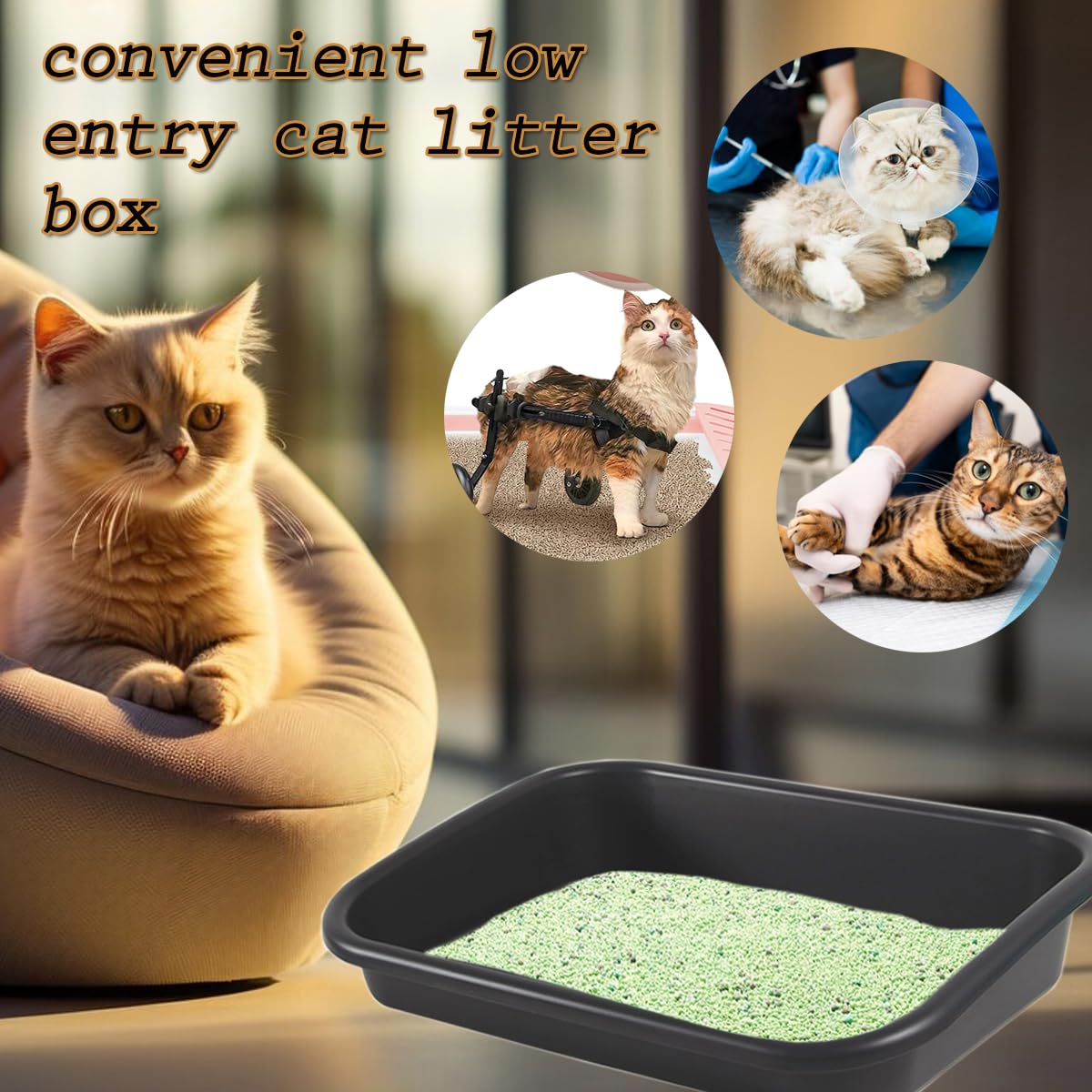 Artuxer caja de arena para gato, plástico duradero y limpieza