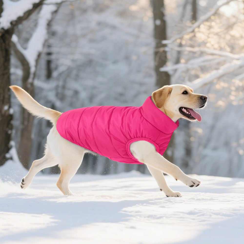 ASENKU abrigo de perros para uso interior y exterior: ideal para uso diario.