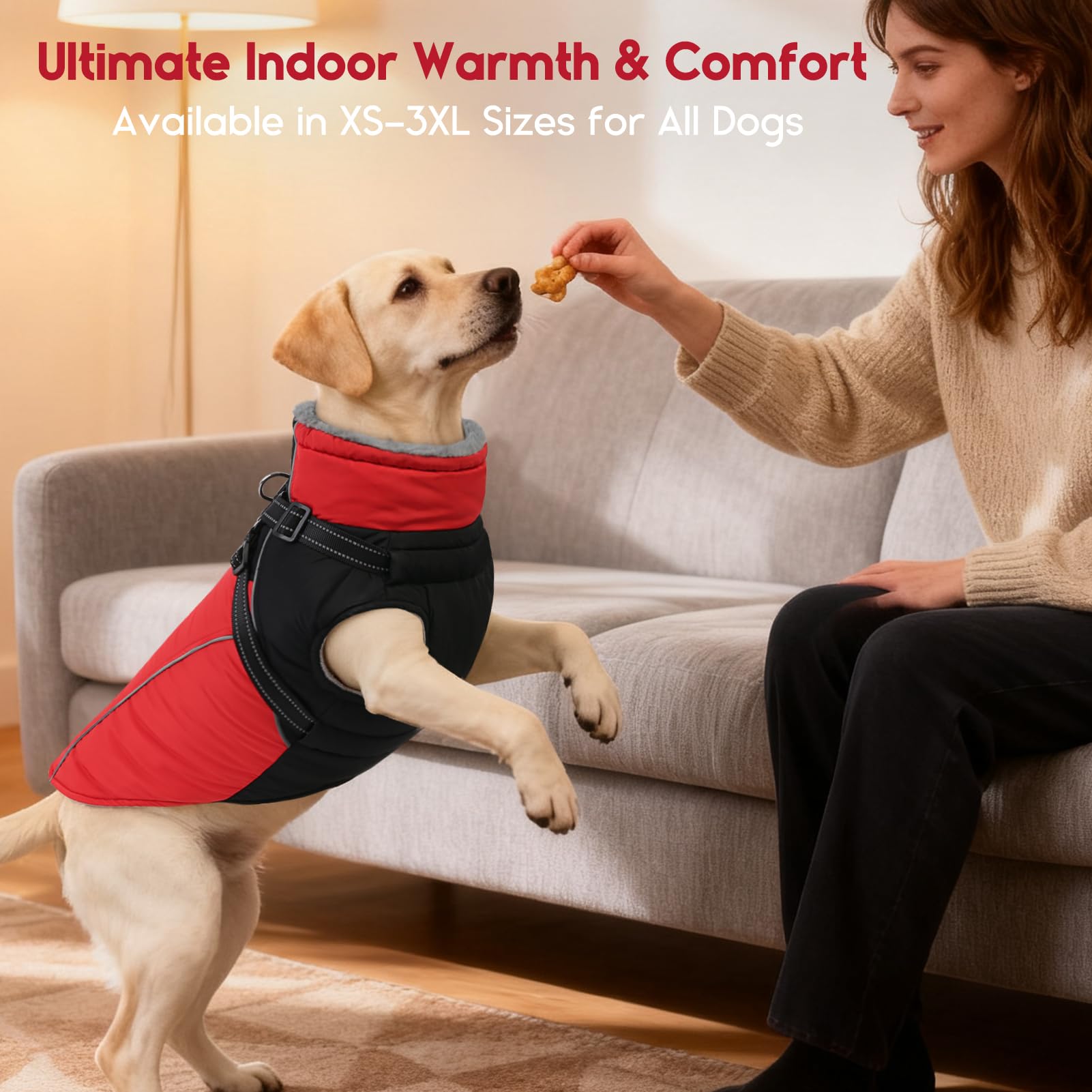 ASENKU abrigo para perro disponible en varias tallas para razas pequeñas y grandes.