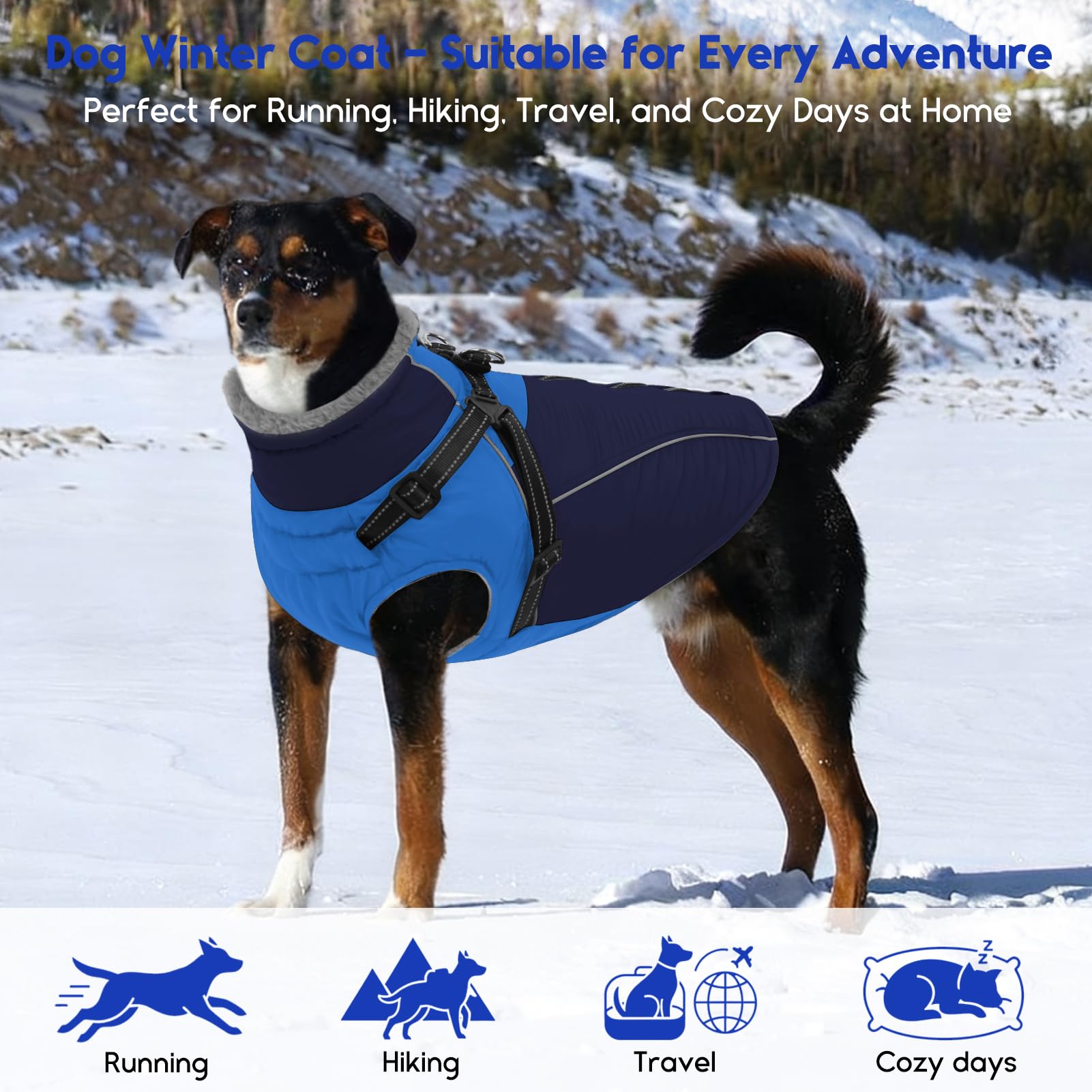 ASENKU abrigo canino versátil para salidas invernales festivas.