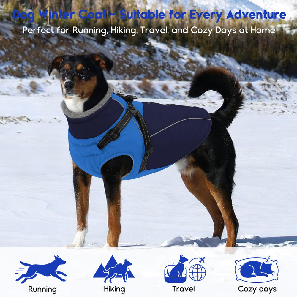 ASENKU abrigo canino versátil para salidas invernales festivas.