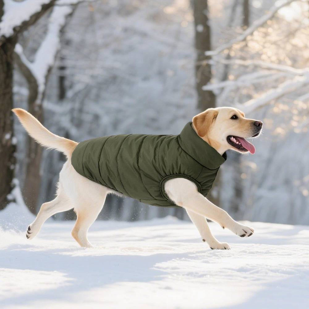 ASENKU ajuste-tallas-perro, para encontrar la talla perfecta en verde army.