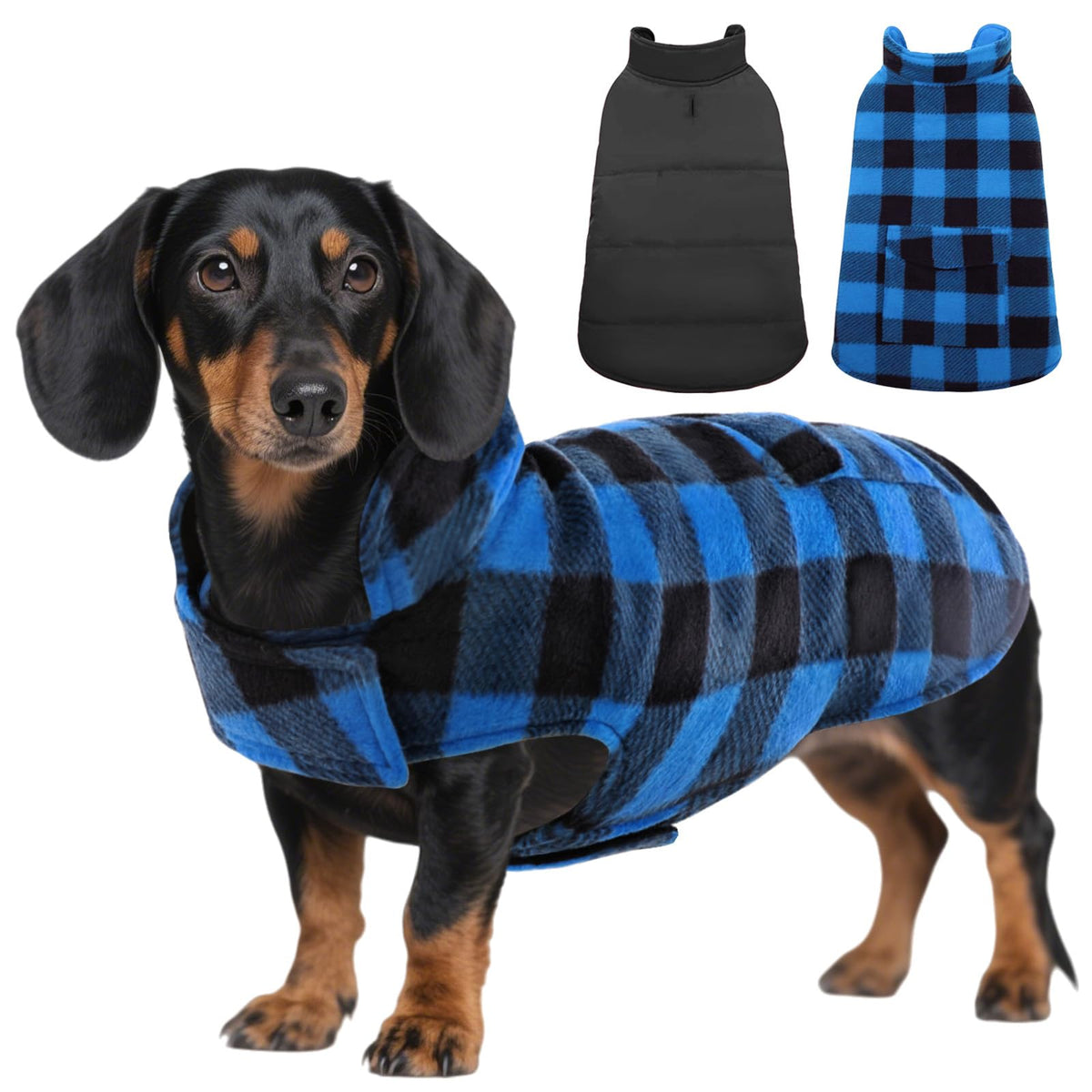 ASENKU capa para perro – frente en cuadros, mantiene al perro cálido en paseos.