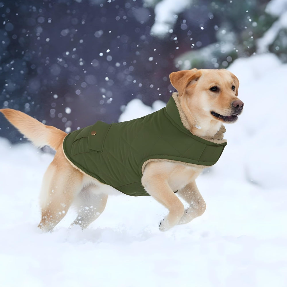 ASENKU capa-perro-invierno-diseño-festivo adecuado para eventos y paseos especiales