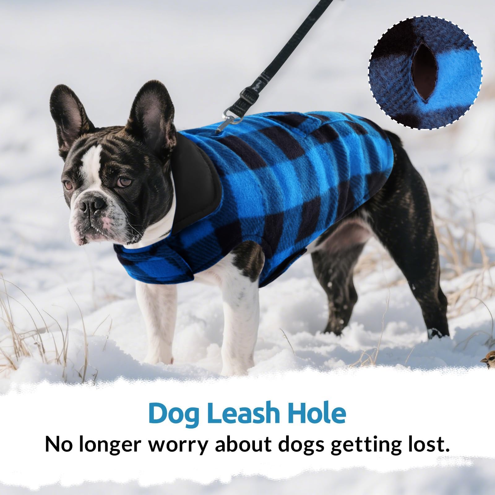 ASENKU capa para perro – tejido impermeable, ideal en días de lluvia.