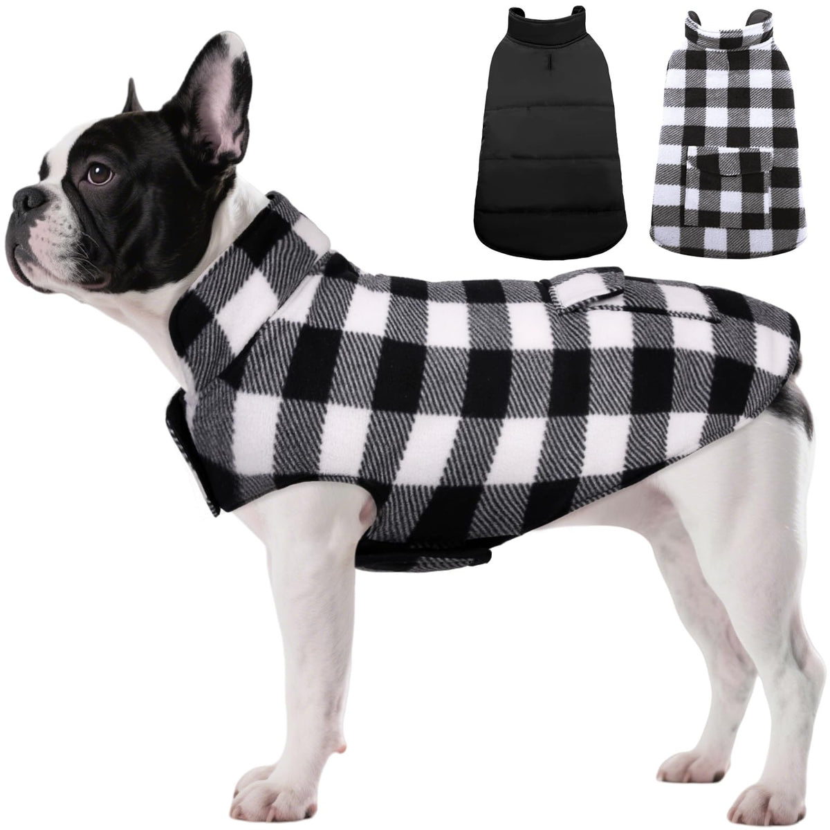 ASENKU abrigo invernal para perros, vista frontal, ligero y cálido para paseos.
