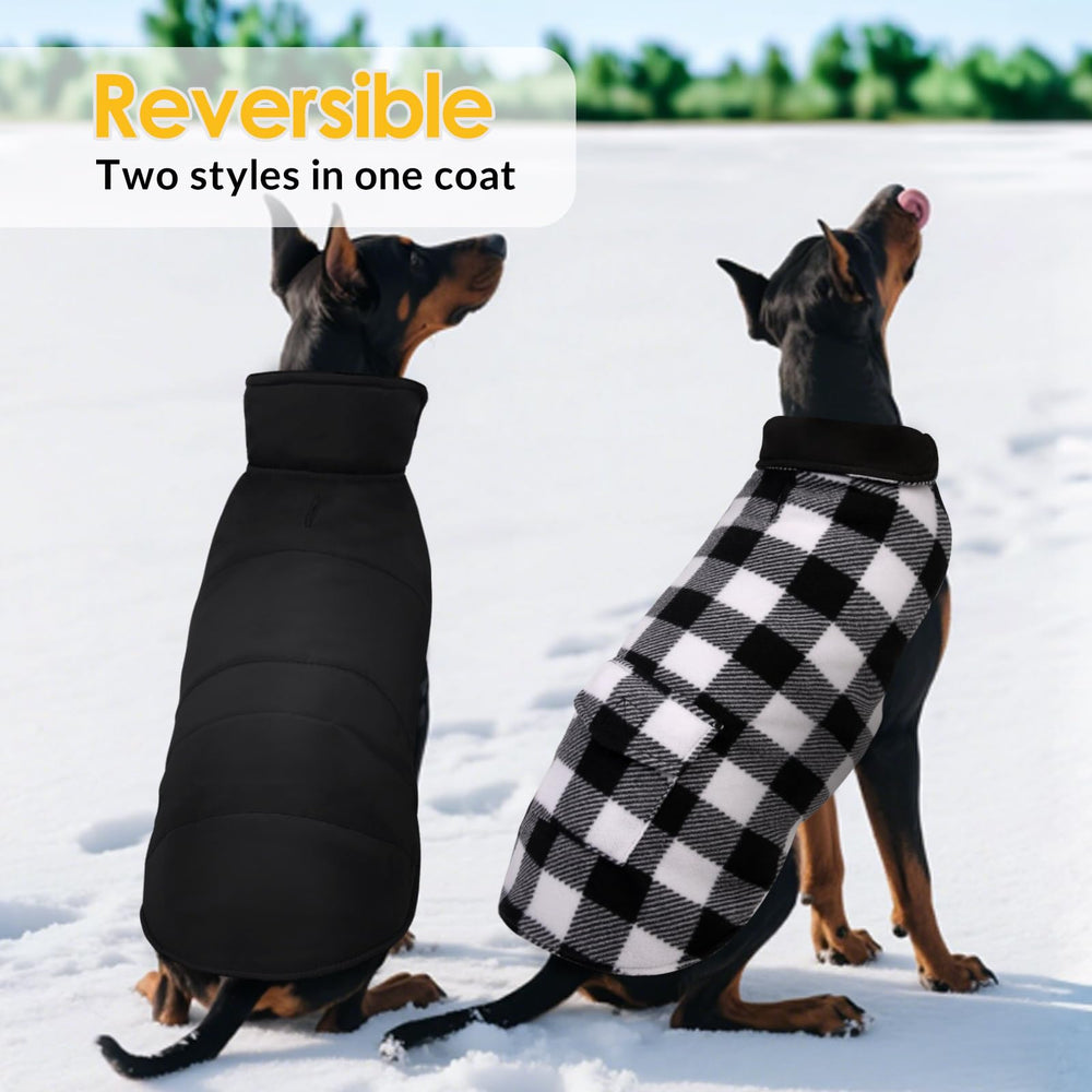 ASENKU chaqueta con bolsillos traseros, ideal para objetos pequeños.