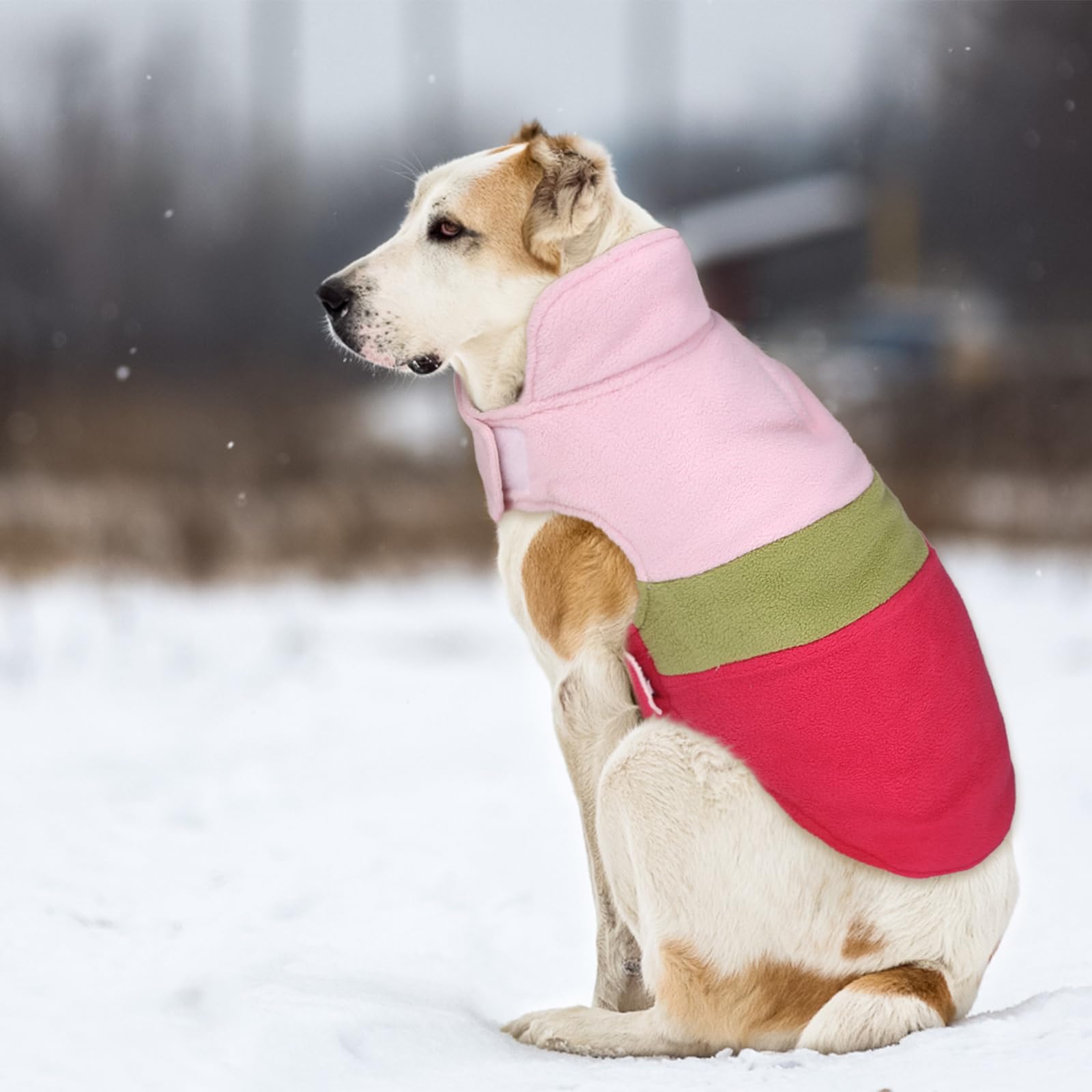ASENKU chaleco para perro acolchado, aislamiento ligero para días ventosos.
