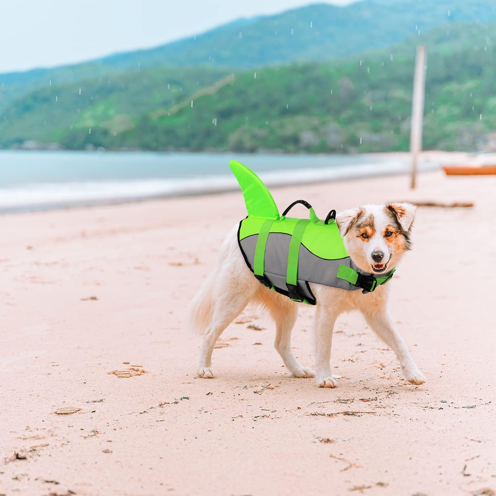 ASENKU chaleco perro anilla D-ring para correa.