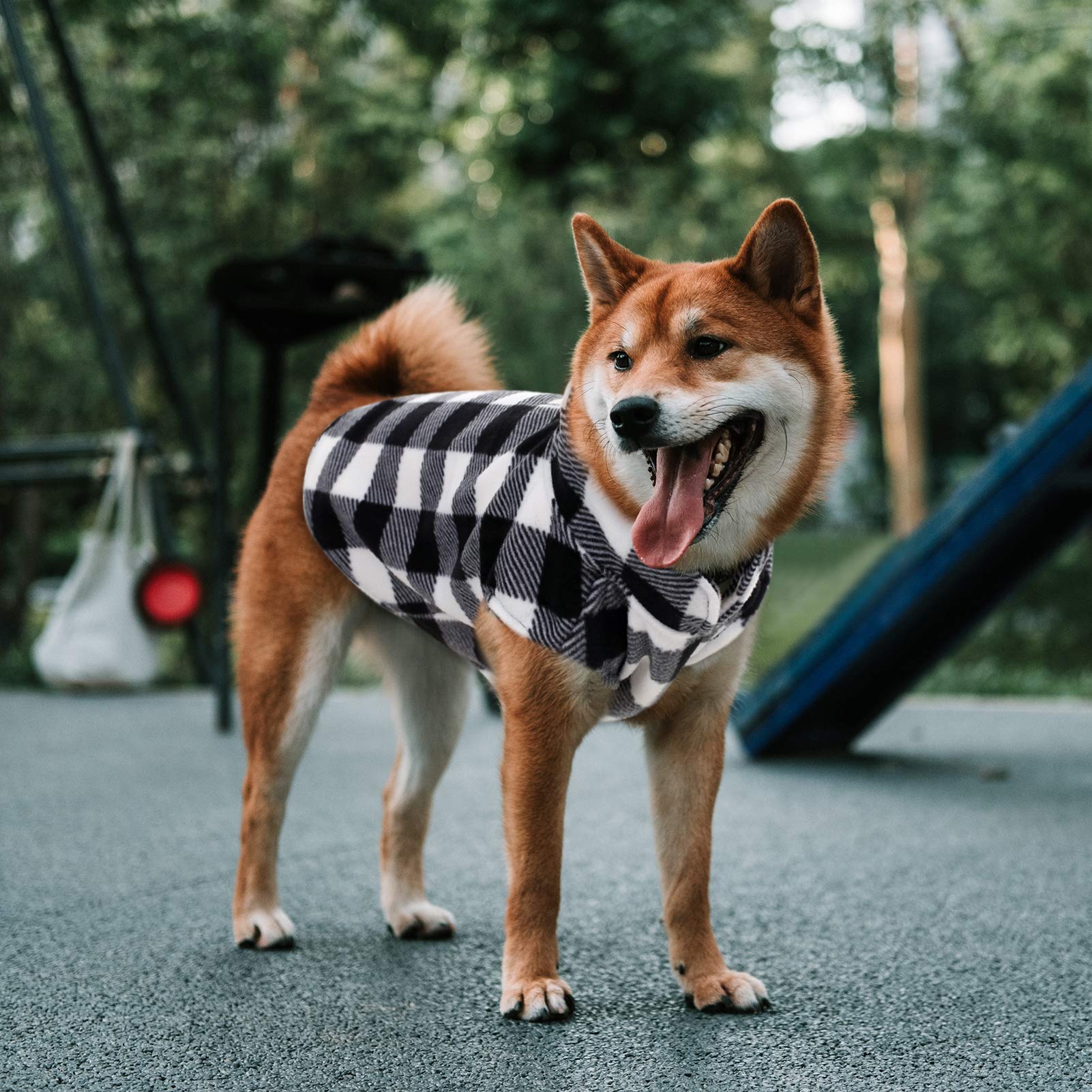 ASENKU chaleco perro cuadros, tallas disponibles para razas pequeñas y medianas