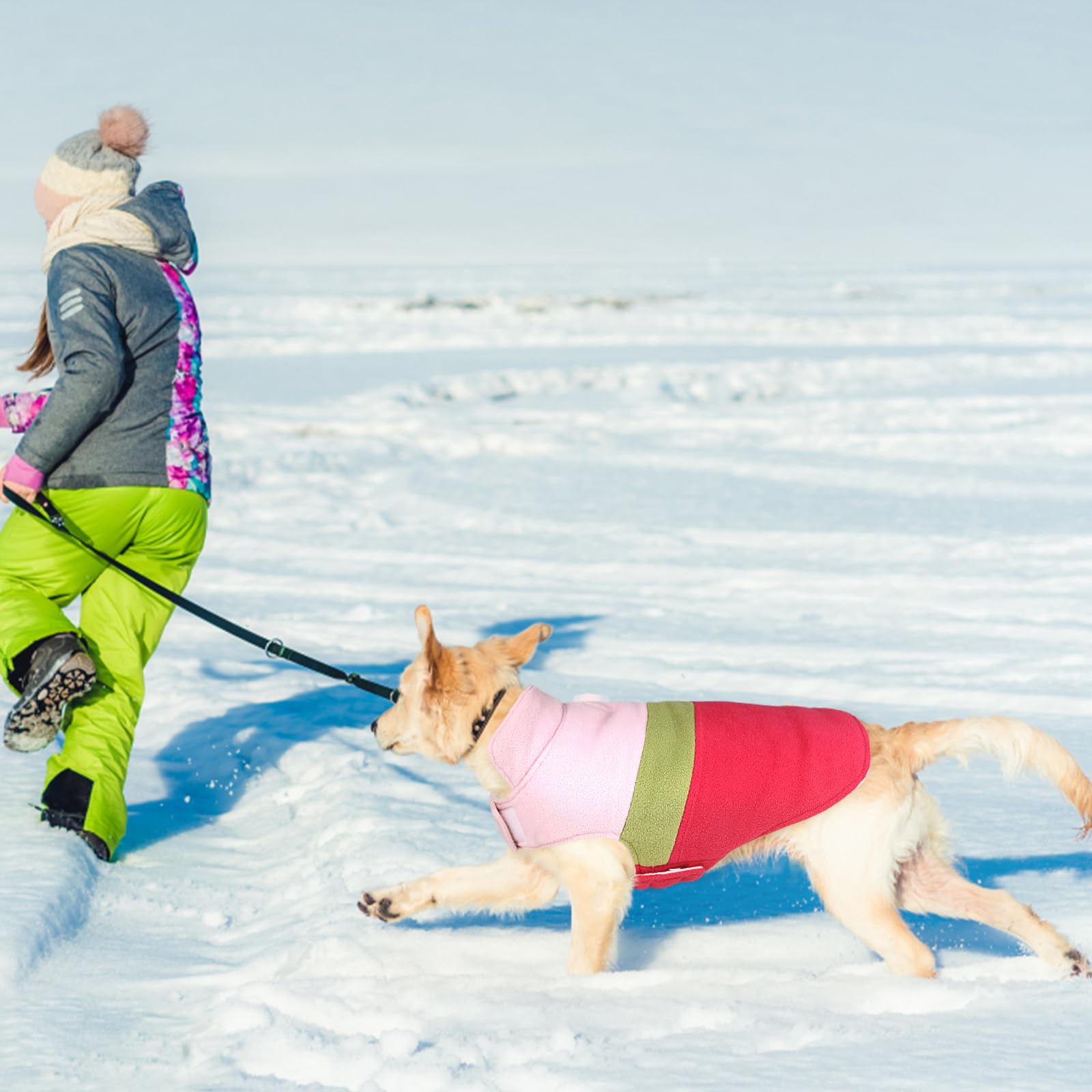 ASENKU chaleco para perro dos caras, talla ajustable para interiores y exteriores.