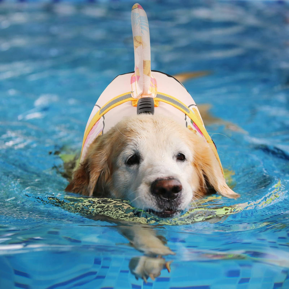 Diseño de sirena para perro, ideal para sesiones de juego en el agua