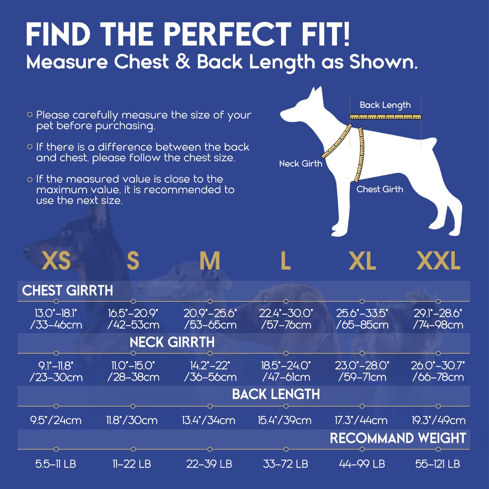 ASENKU chaleco salvavidas para perros, diseño tiburón para estilo y visibilidad.
