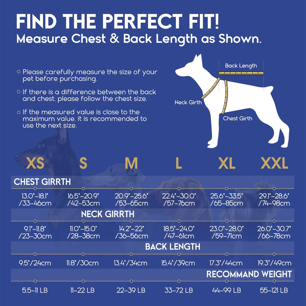 ASENKU chaleco salvavidas para perros, diseño tiburón para estilo y visibilidad.