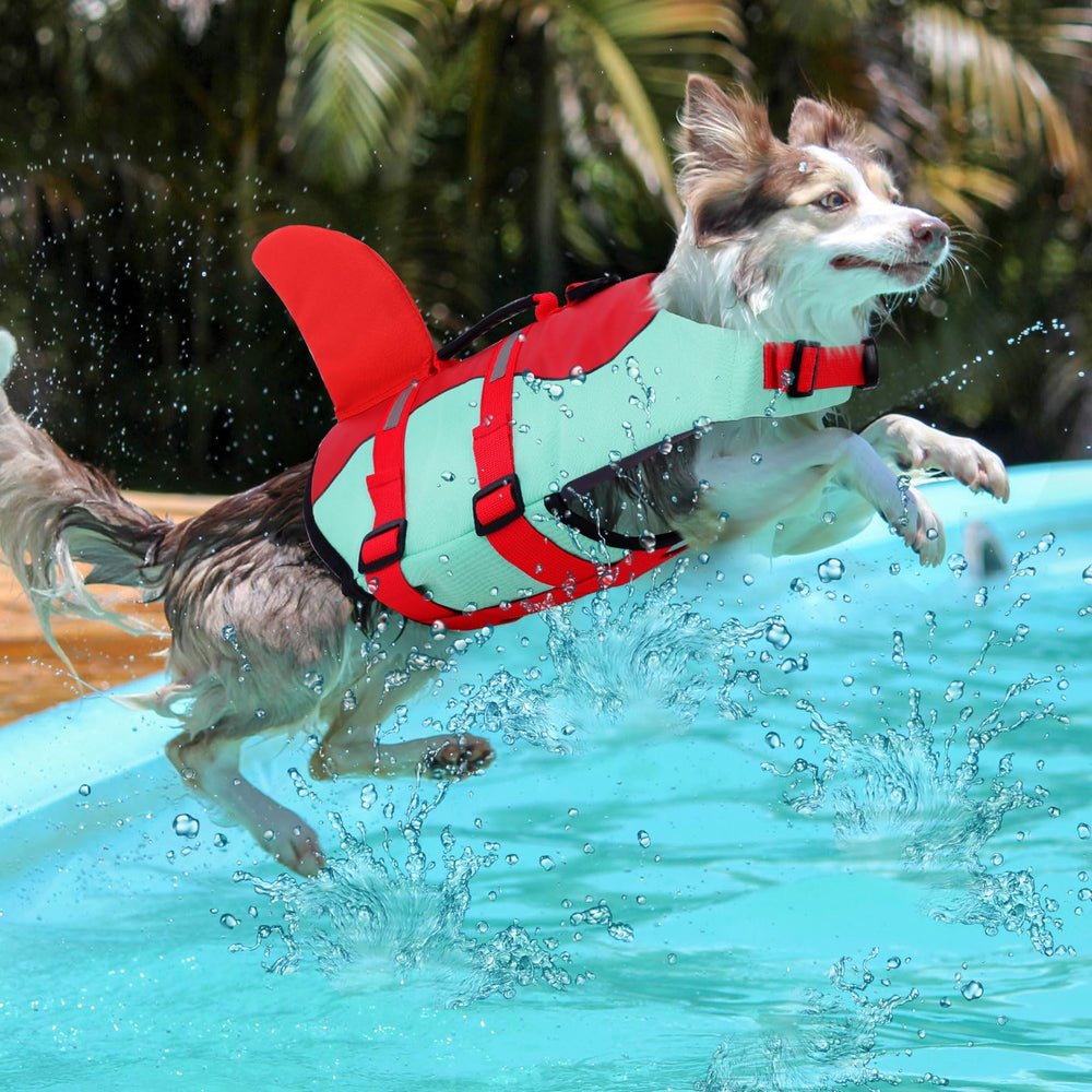 ASENKU chaleco en uso durante paseo en bote, agua estable.