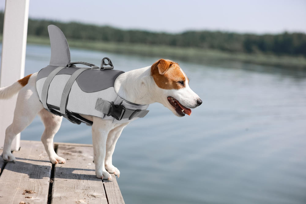 ASENKU chaleco impermeable, ideal para uso invernal