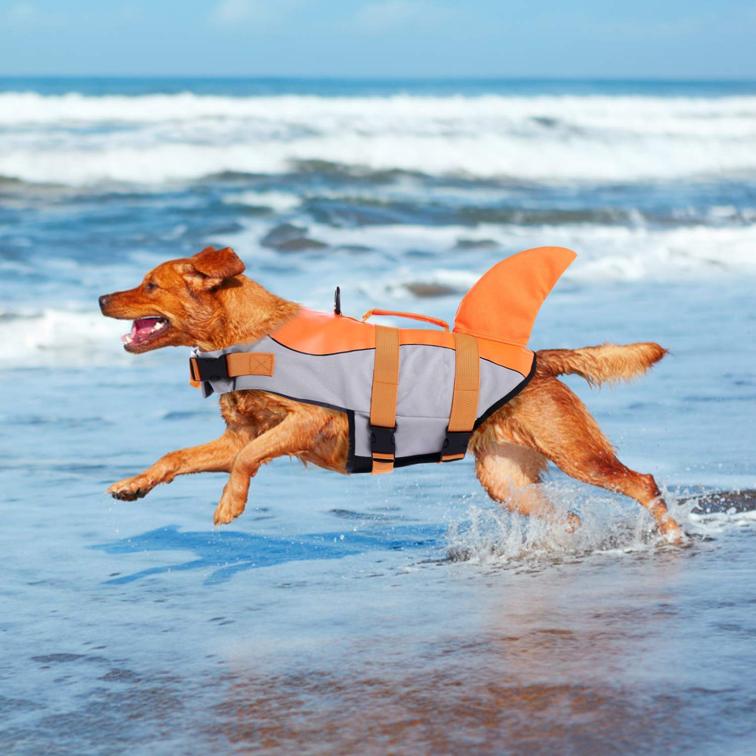 ASENKU chaleco naranja tamaño XS, visible y ideal para perros pequeños