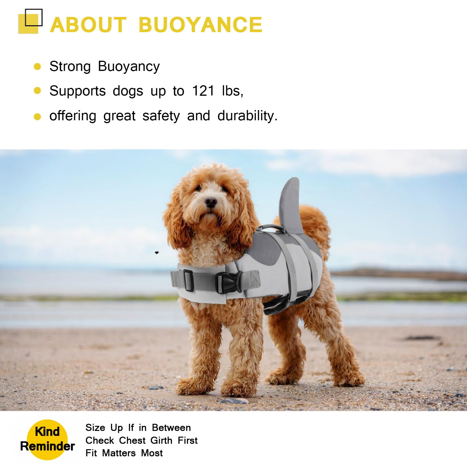 ASENKU chaleco para perros, perfecto para paseos acuáticos
