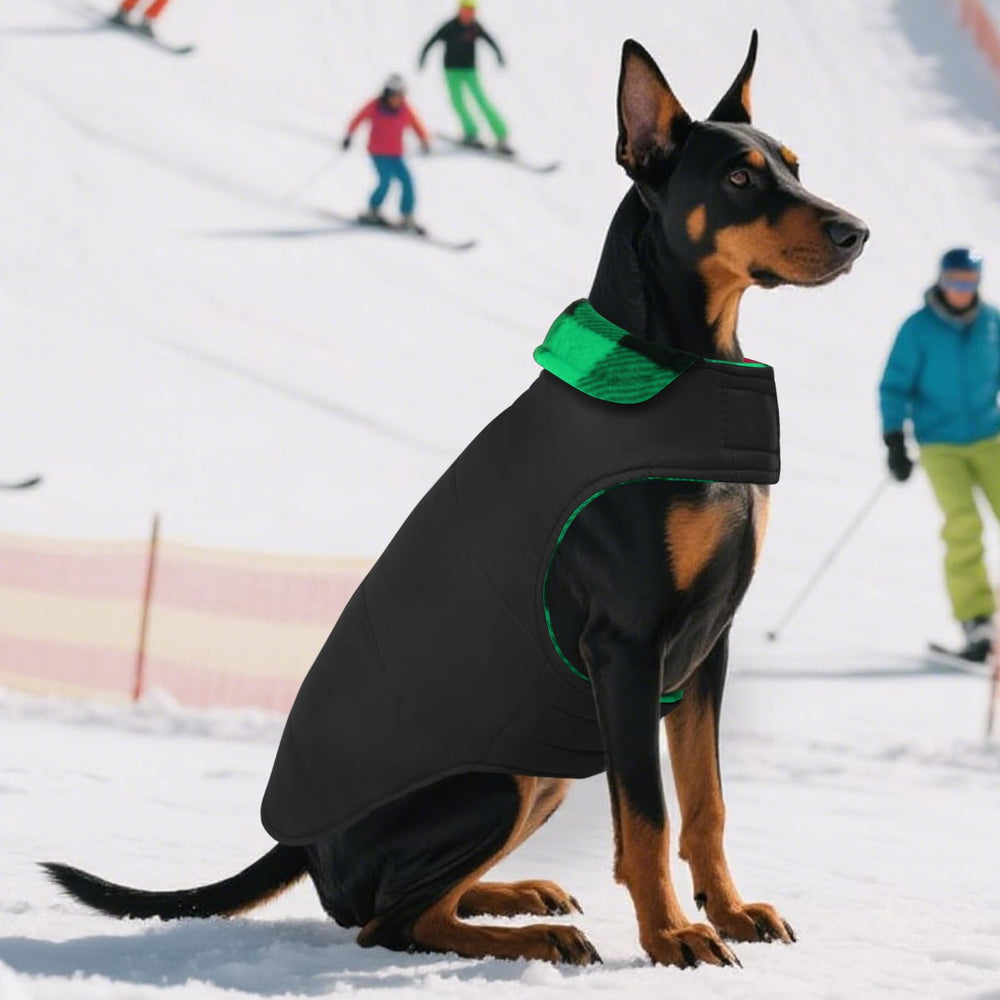 ASENKU chaqueta con bolsillo trasero para objetos pequeños.