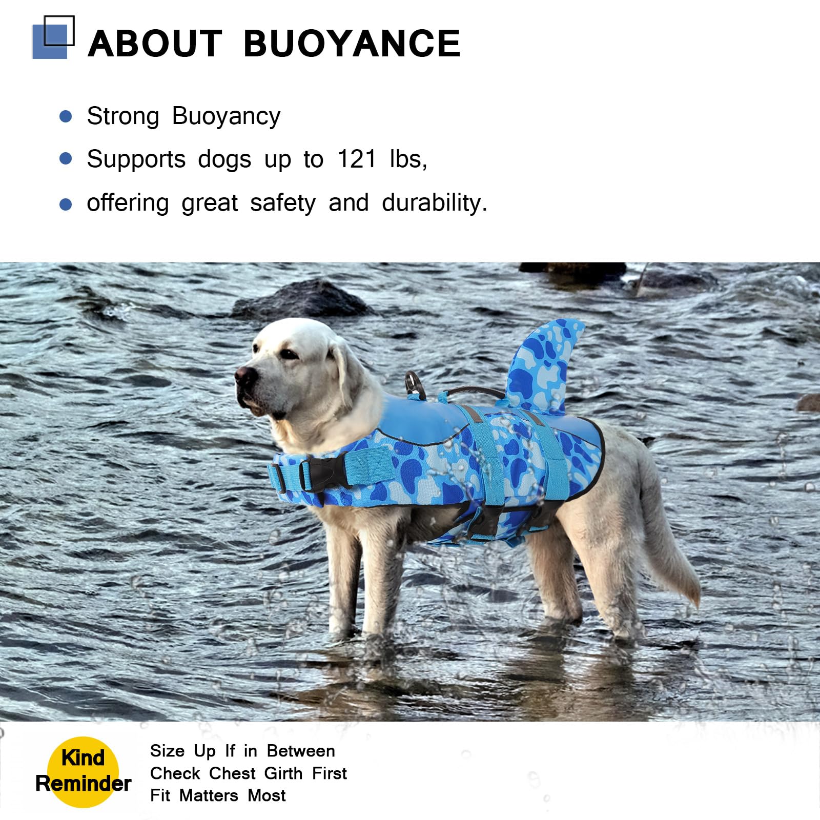 ASENKU impresión azul-vaca, estilo único para paseos y chapuzones.