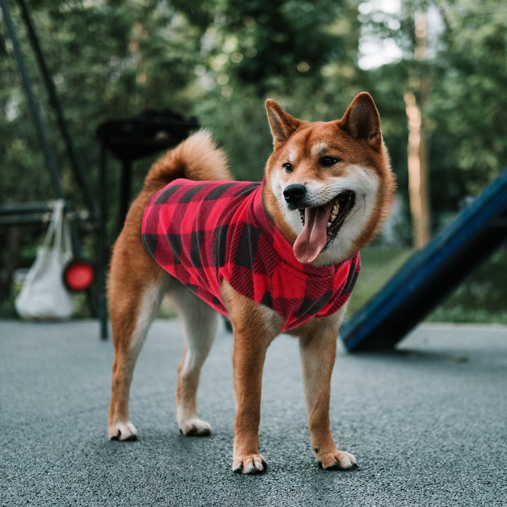 ASENKU ideal para primavera y otoño, abrigo ligero para paseos