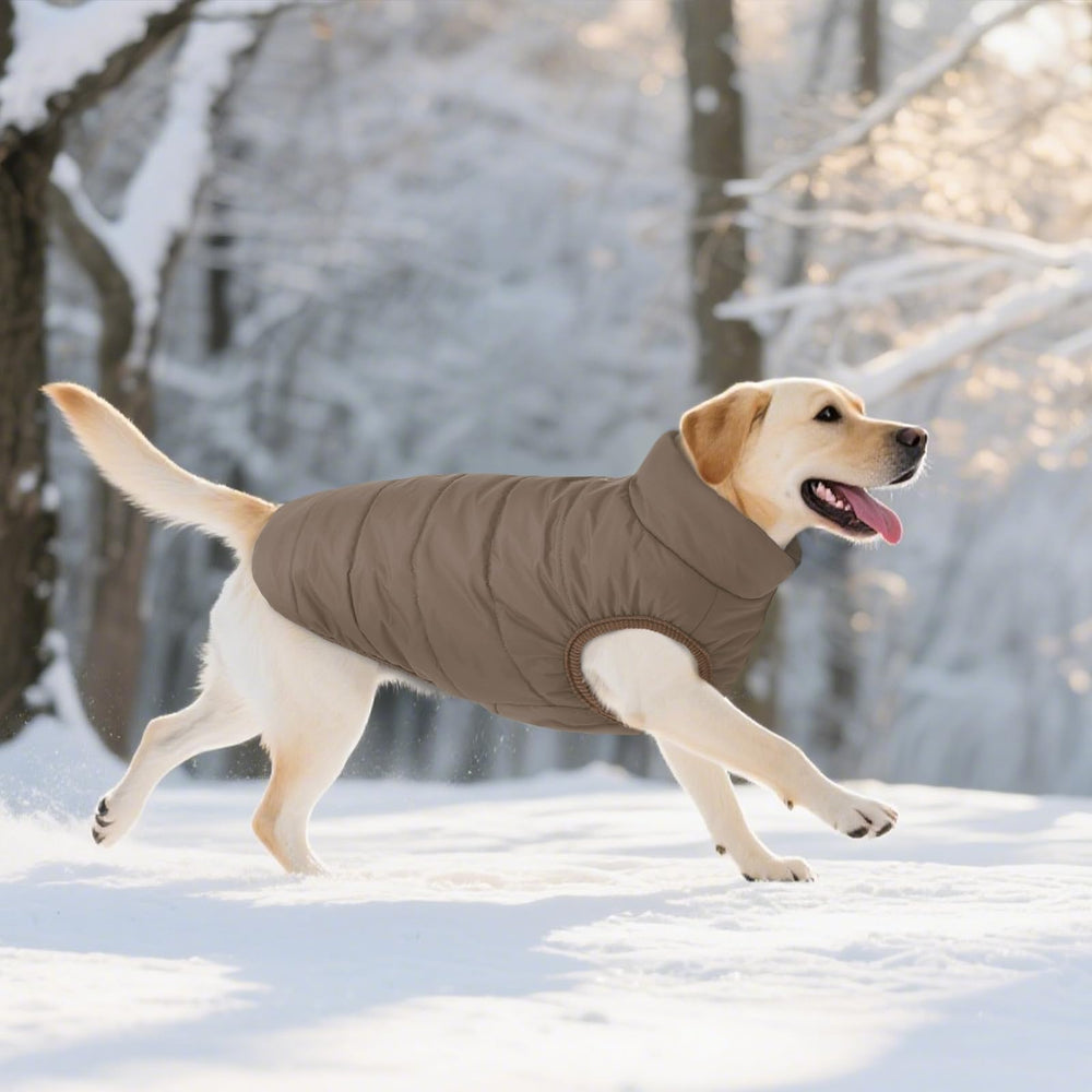 ASENKU abrigo XS a XXXL para perros de diferentes tamaños.