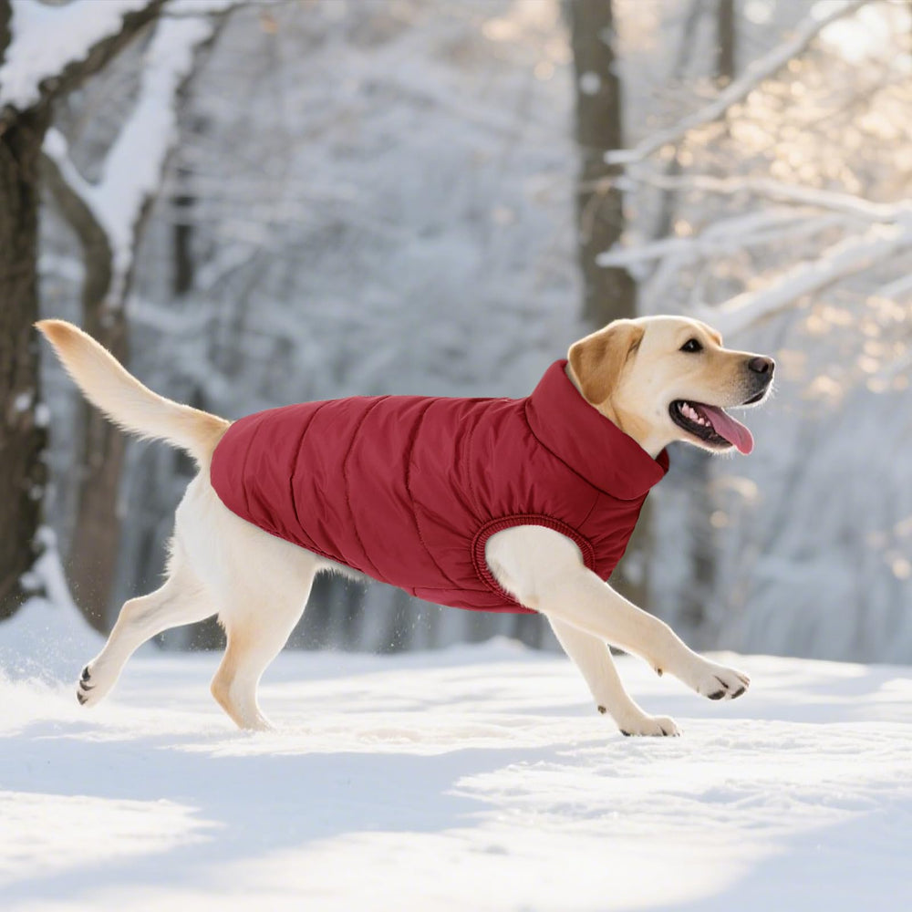 ASENKU chaqueta perro rojo ajuste elástico en patas y dobladillo