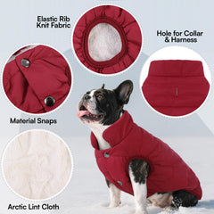 ASENKU chaqueta para perro rojo vista trasera, diseño cómodo