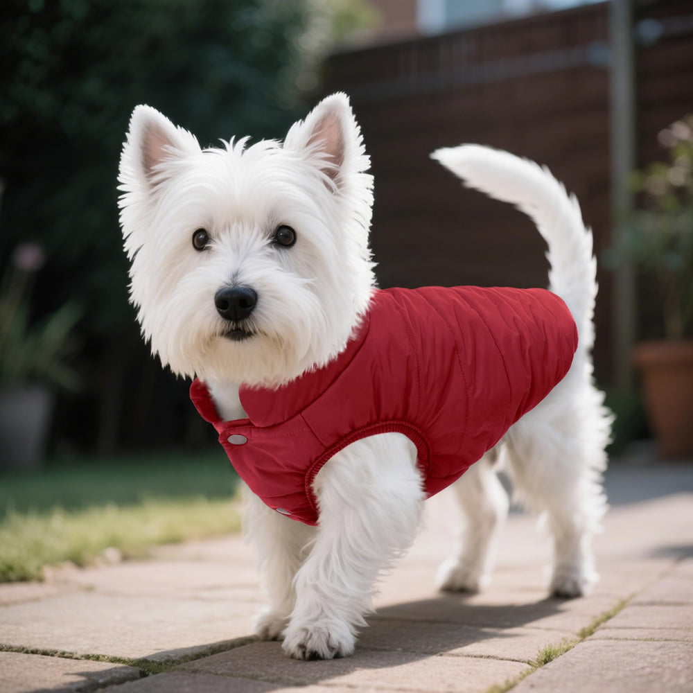ASENKU chaqueta perro rojo guía de tallas para ajuste cómodo