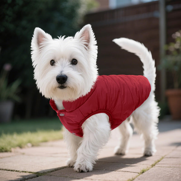 ASENKU chaqueta perro rojo guía de tallas para ajuste cómodo