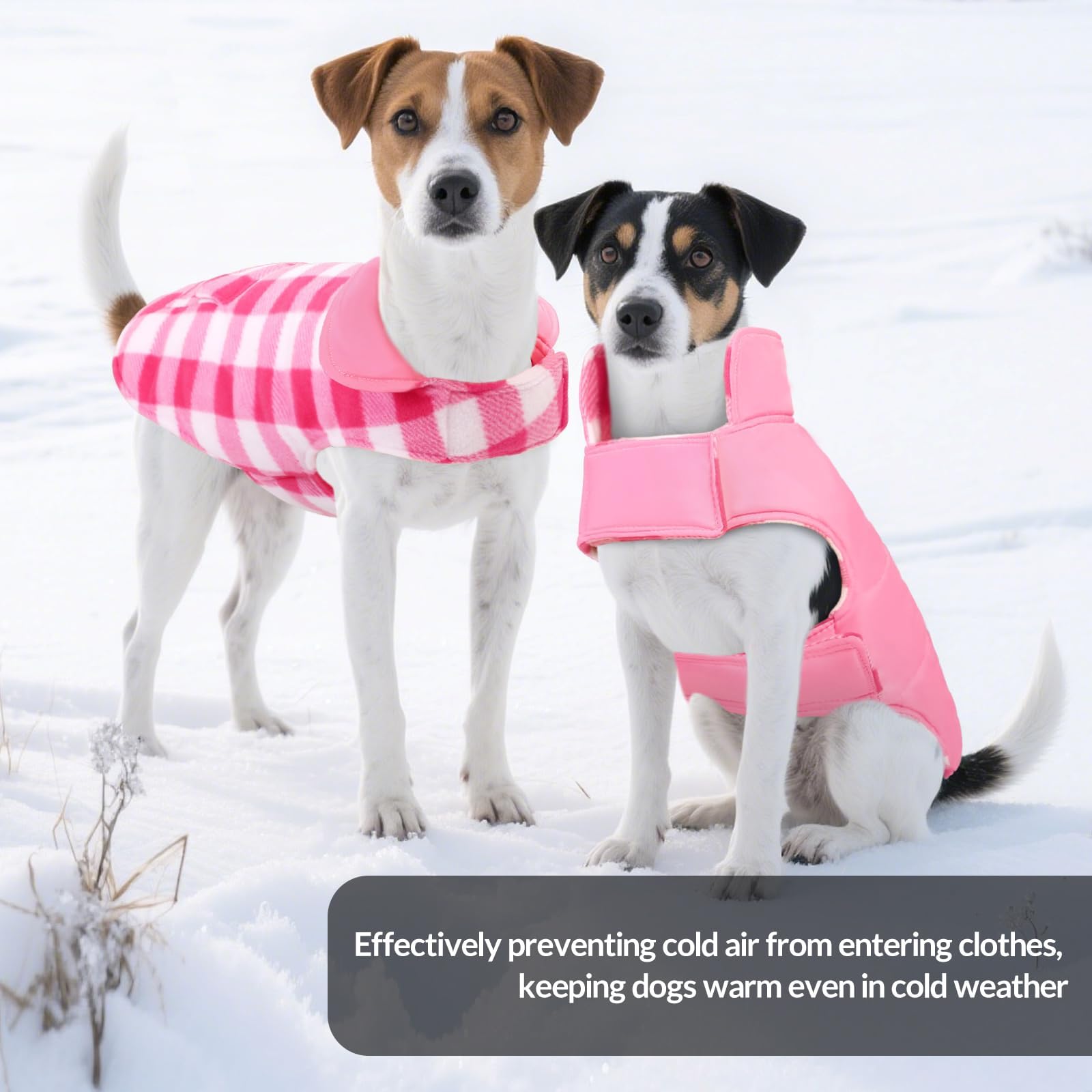 ASENKU modelo rosa, suave forro polar para confort durante paseos.
