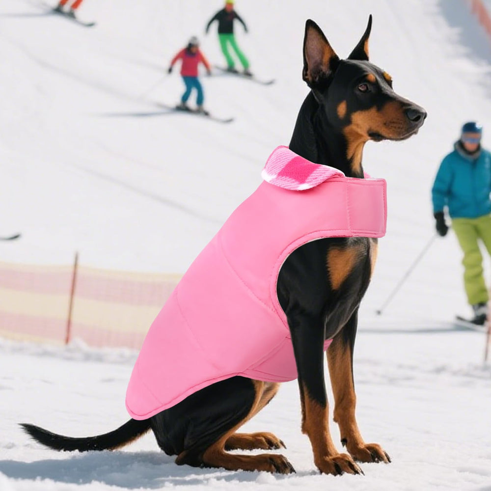 ASENKU talla XS a XXXL para perros pequeños y grandes.
