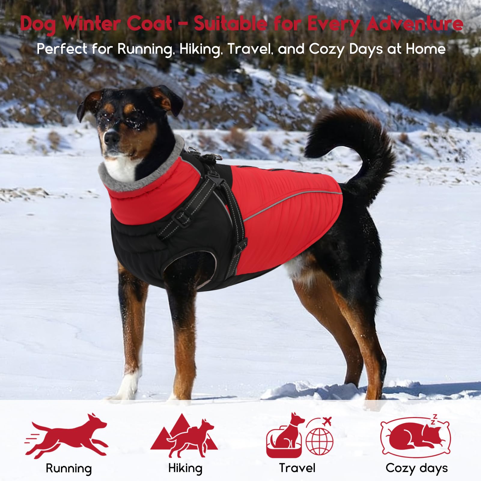 ASENKU es ideal para paseos festivos y aventuras invernales al aire libre
