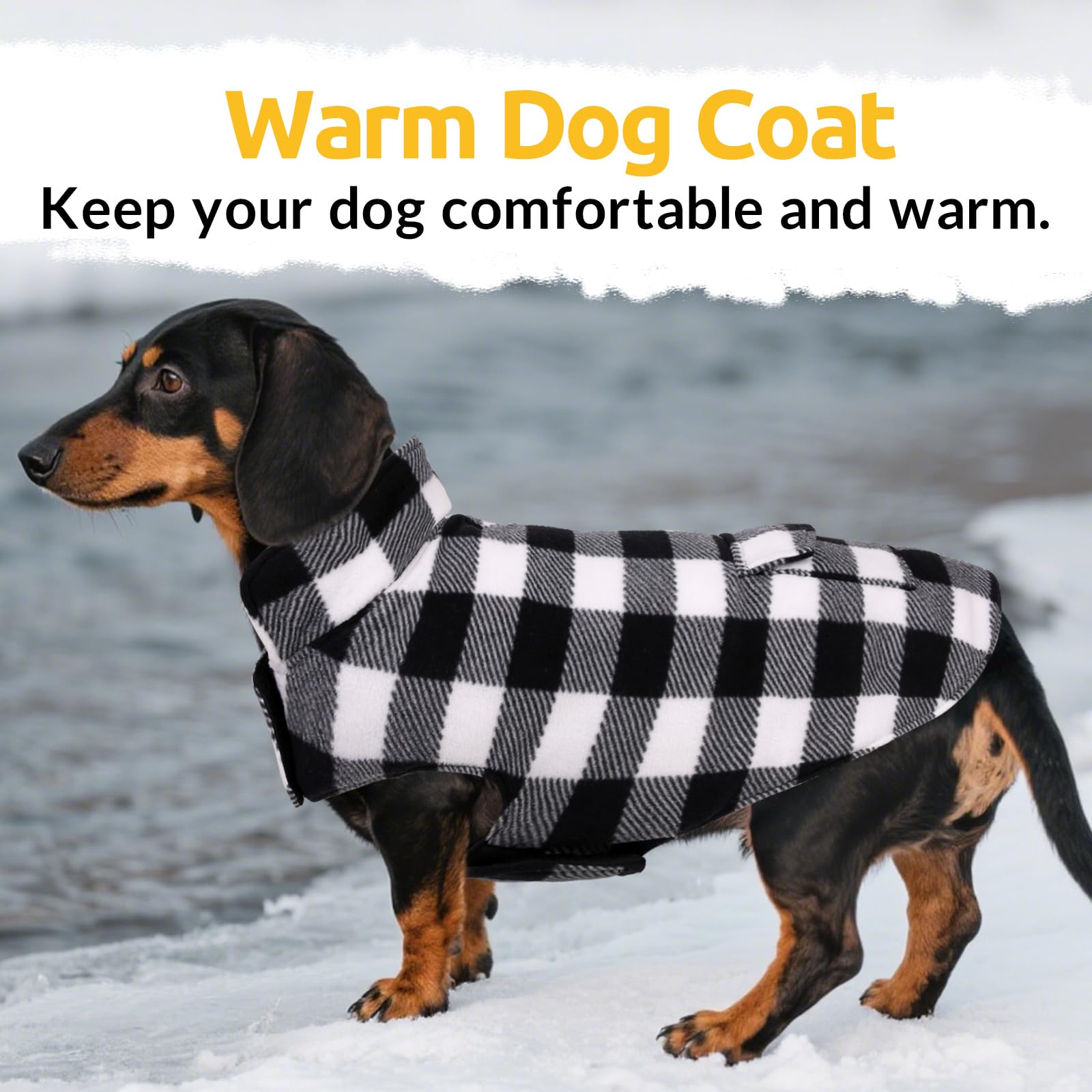 ASENKU prenda impermeable para perros, protección durante salidas al exterior.