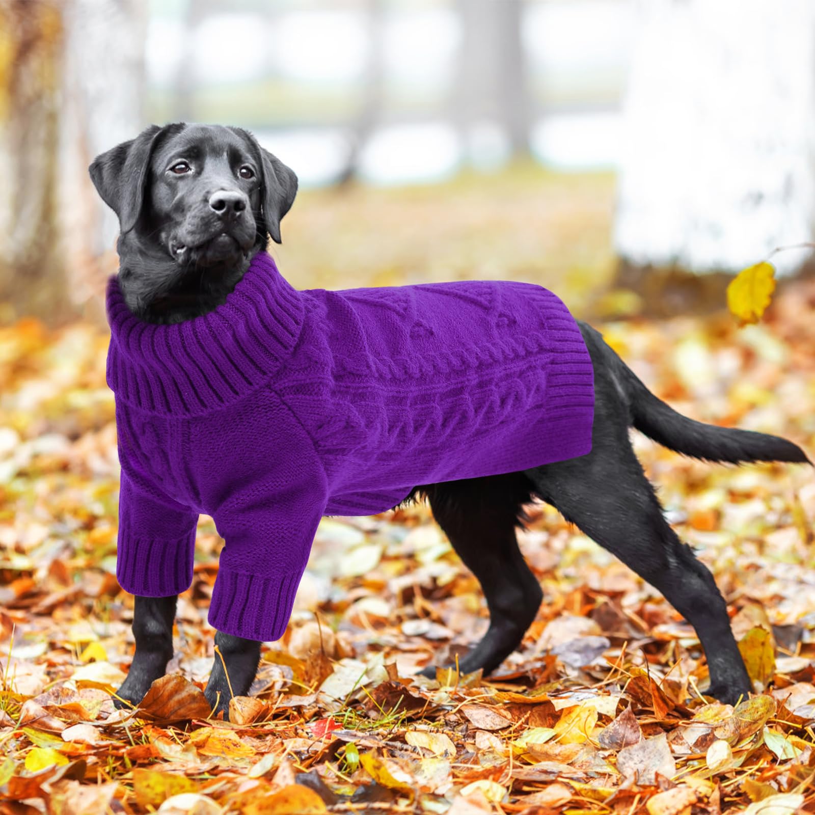ASENKU suéter perro dimensiones y talla para ajuste perfecto