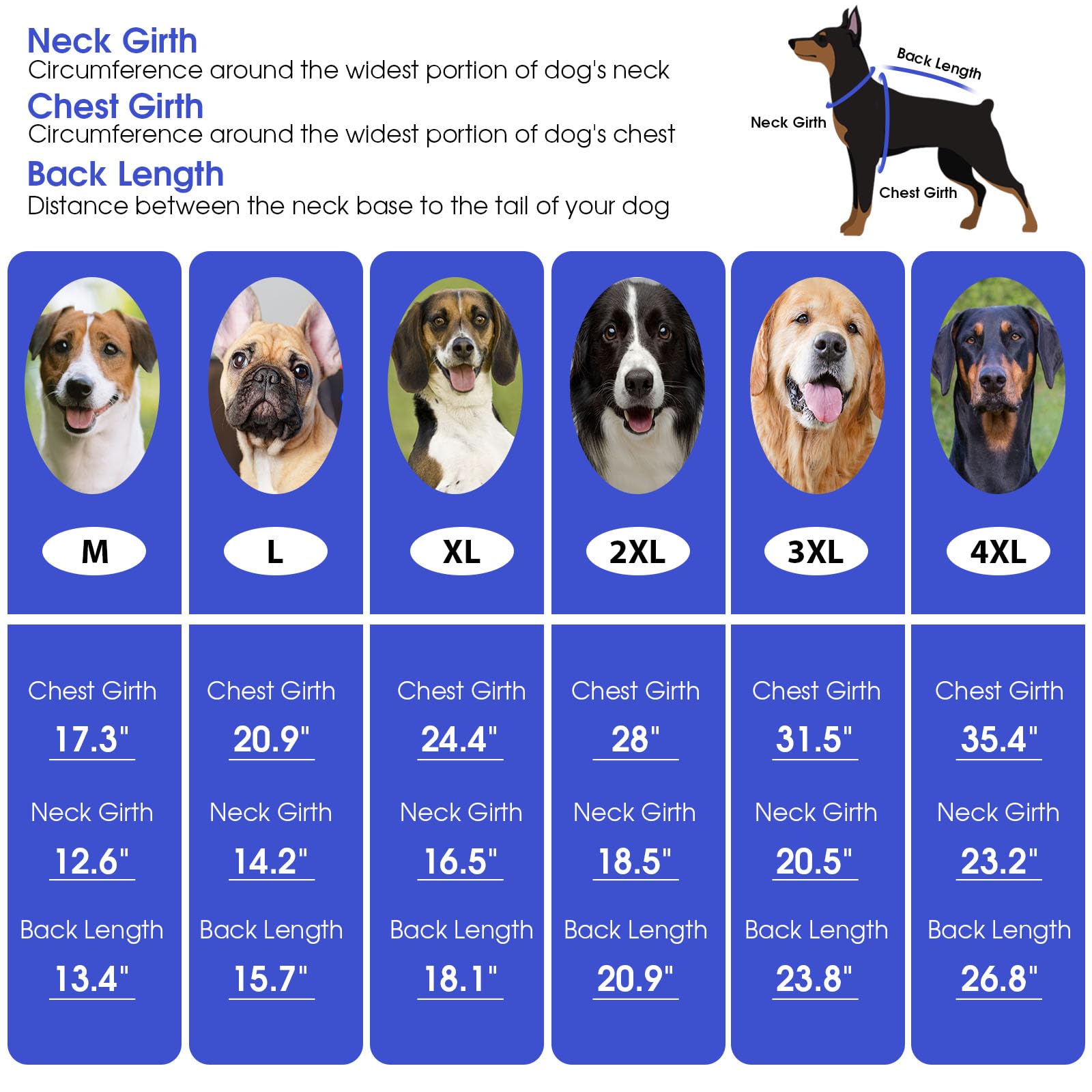 ASENKU suéter disponible en tallas grandes para perros fuertes