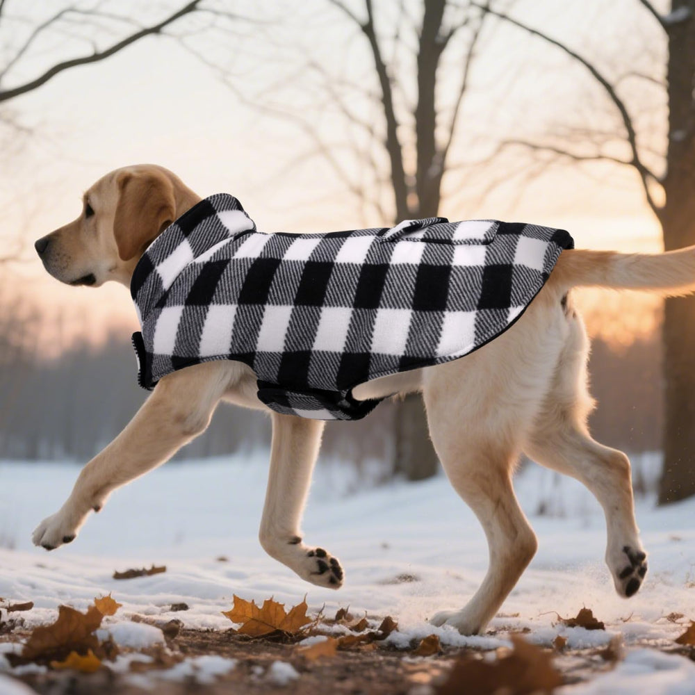 ASENKU tallas XS a XXXL para perros de diferentes tamaños.