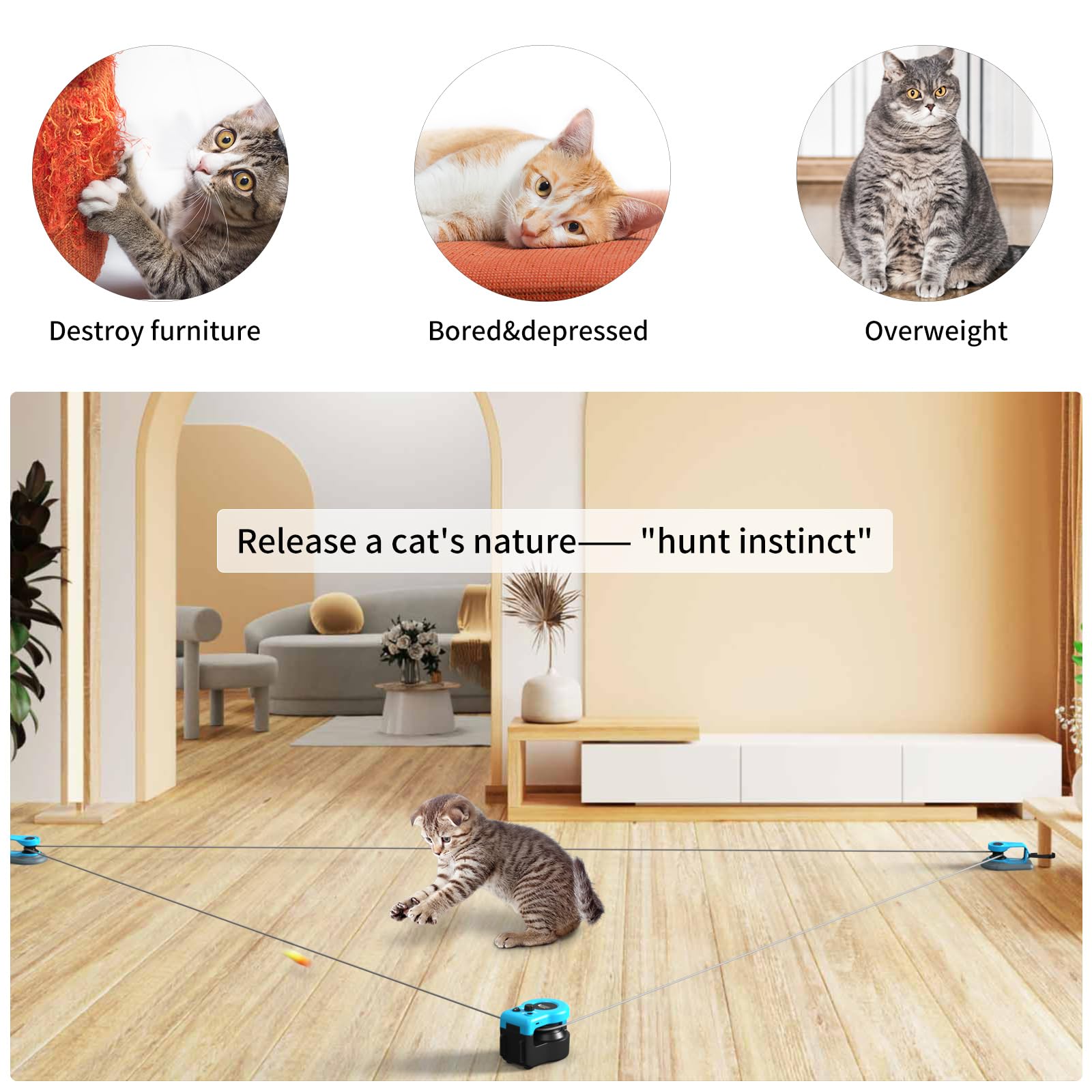AsFrost estímulo de caza con pluma y cuerda para gatos de interior