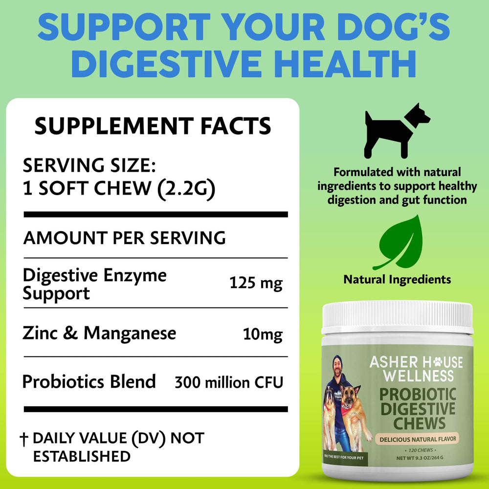 Asher House Wellness probióticos con enzimas para perros, posible alivio estomacal.