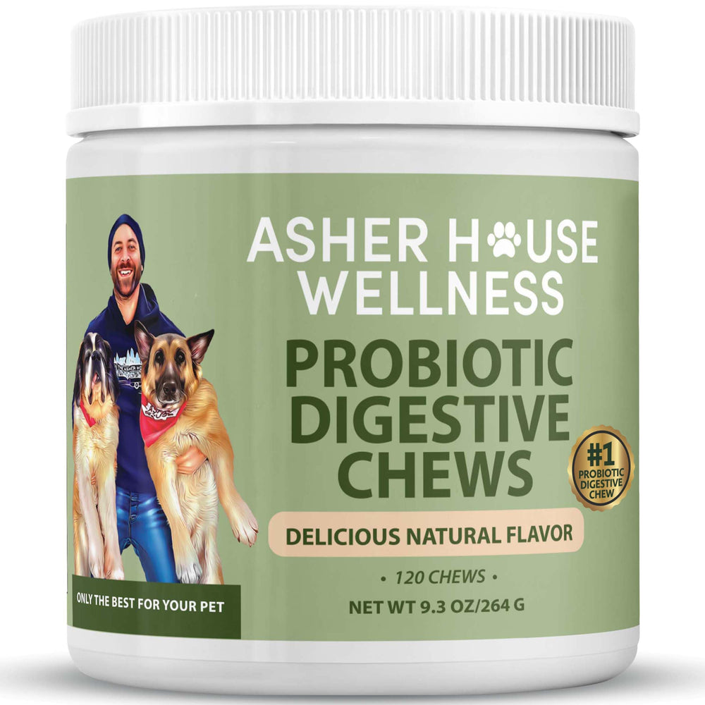 Asher House Wellness probióticos para perros, masticables en botella, posible apoyo digestivo.