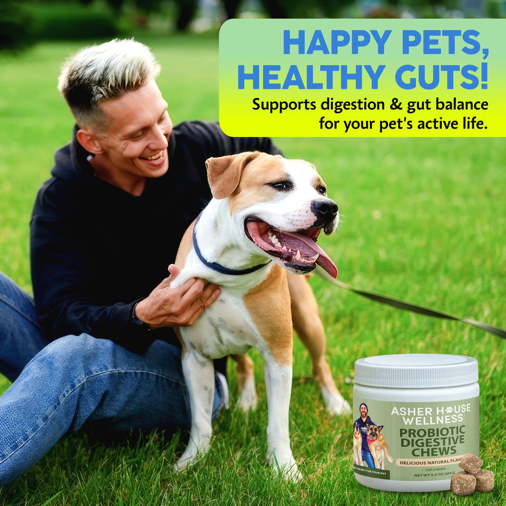 Asher House Wellness probióticos, masticables para diferentes tamaños de perros.