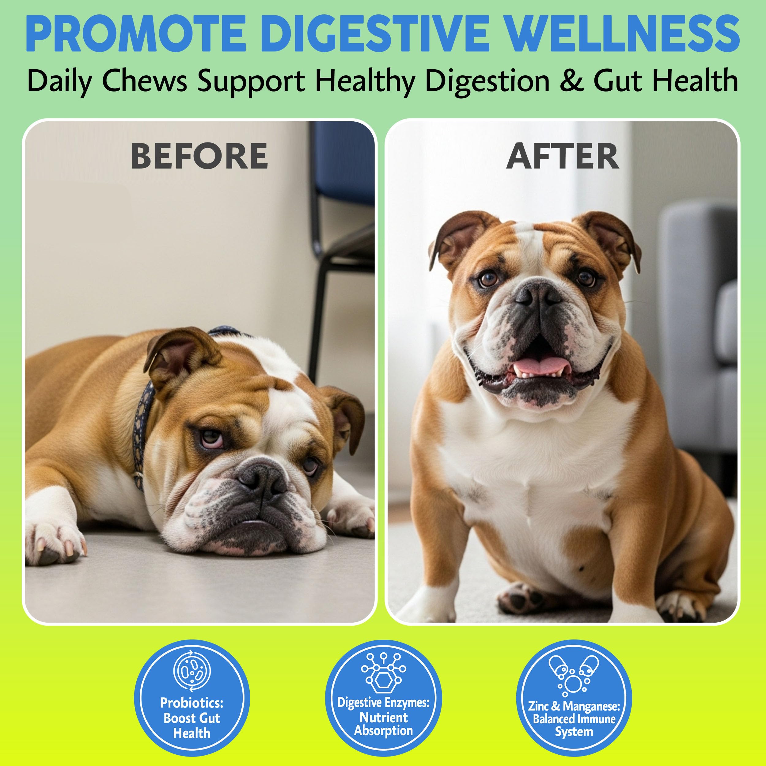 Asher House Wellness probióticos para perros, sabor natural, mejora la aceptación.