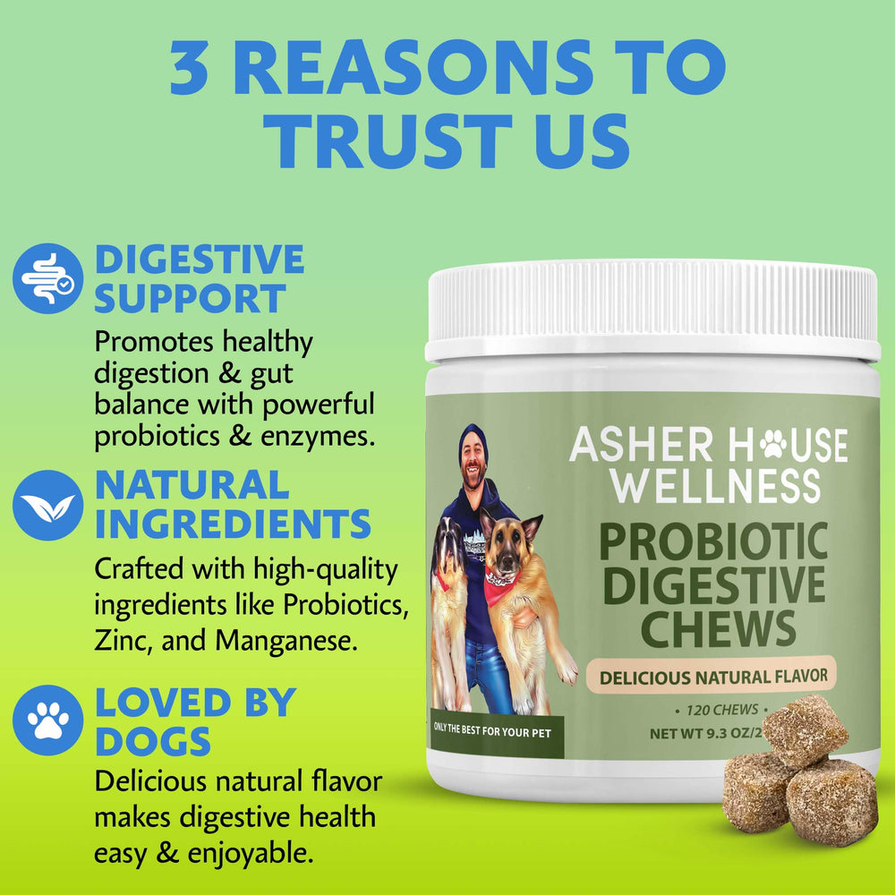 Asher House Wellness probióticos, textura suave para perros, rutina diaria fácil.